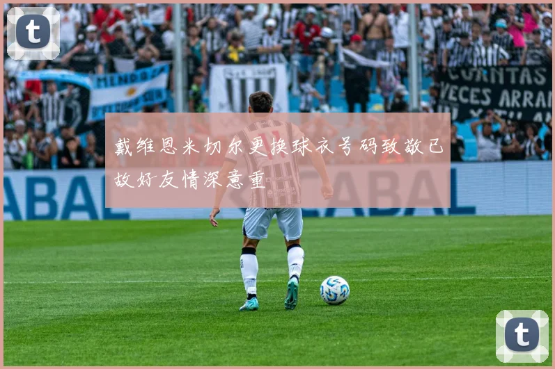 戴维恩米切尔更换球衣号码致敬已故好友情深意重
