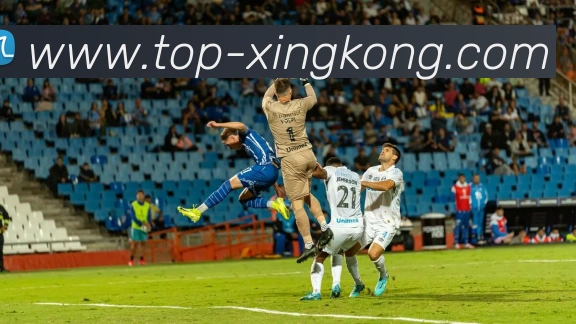 奖项4